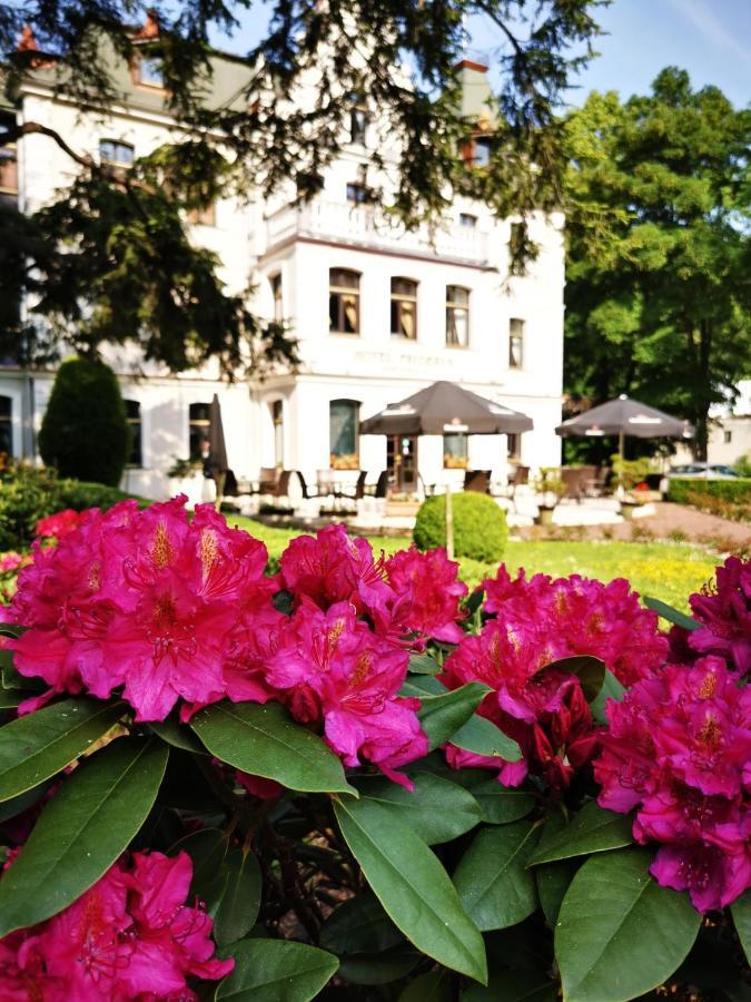 Hotel Fryderyk Duszniki Zdrój Exterior foto
